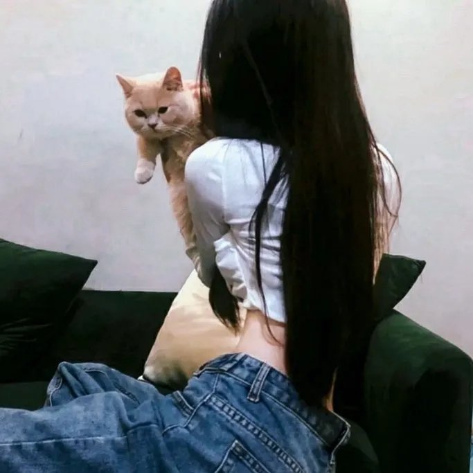 椭圆形盘旋