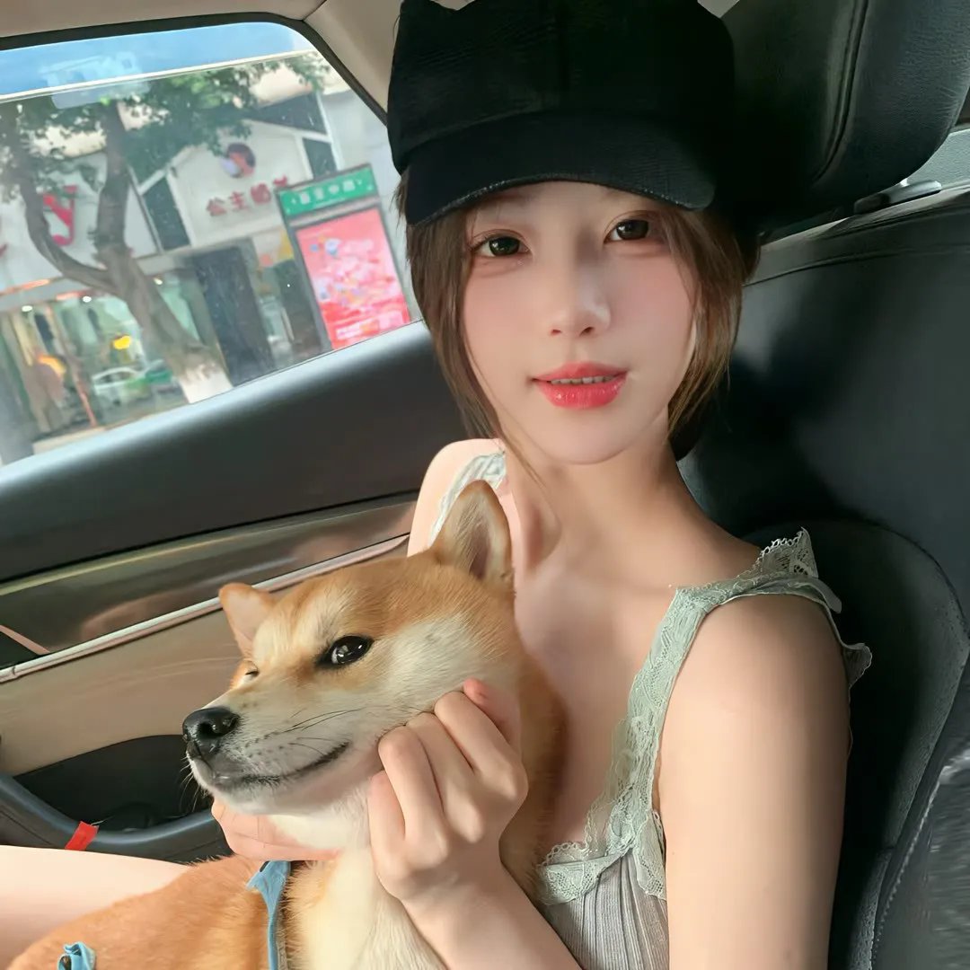 南北大状
